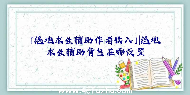 「绝地求生辅助作者收入」|绝地求生辅助背包在哪设置